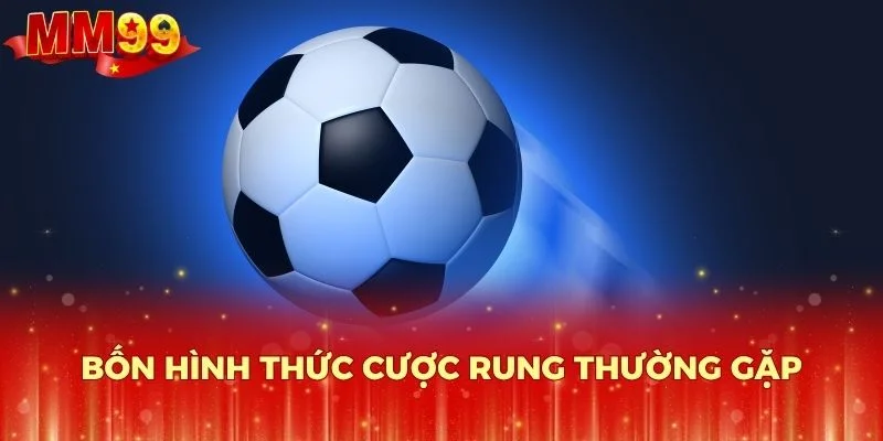 Bốn hình thức cược rung thường gặp